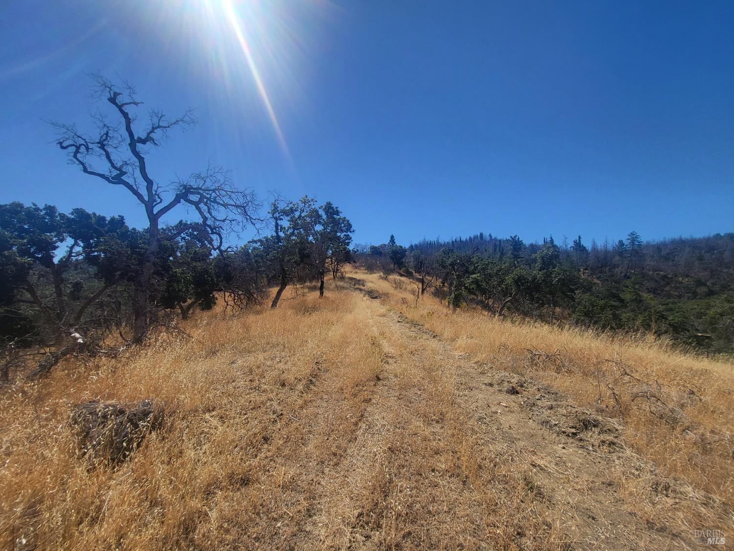 Detail Gallery Image 5 of 35 For 0 Wallace Creek Rd, Healdsburg,  CA 95448 - – Beds | – Baths