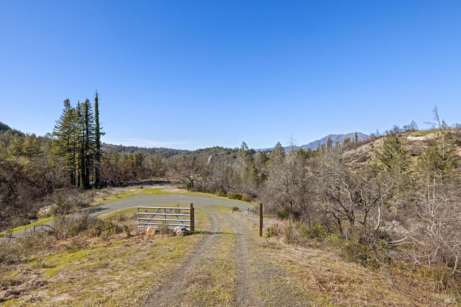 Detail Gallery Image 3 of 38 For 0 Diamond Mountain Rd, Calistoga,  CA 94515 - – Beds | – Baths