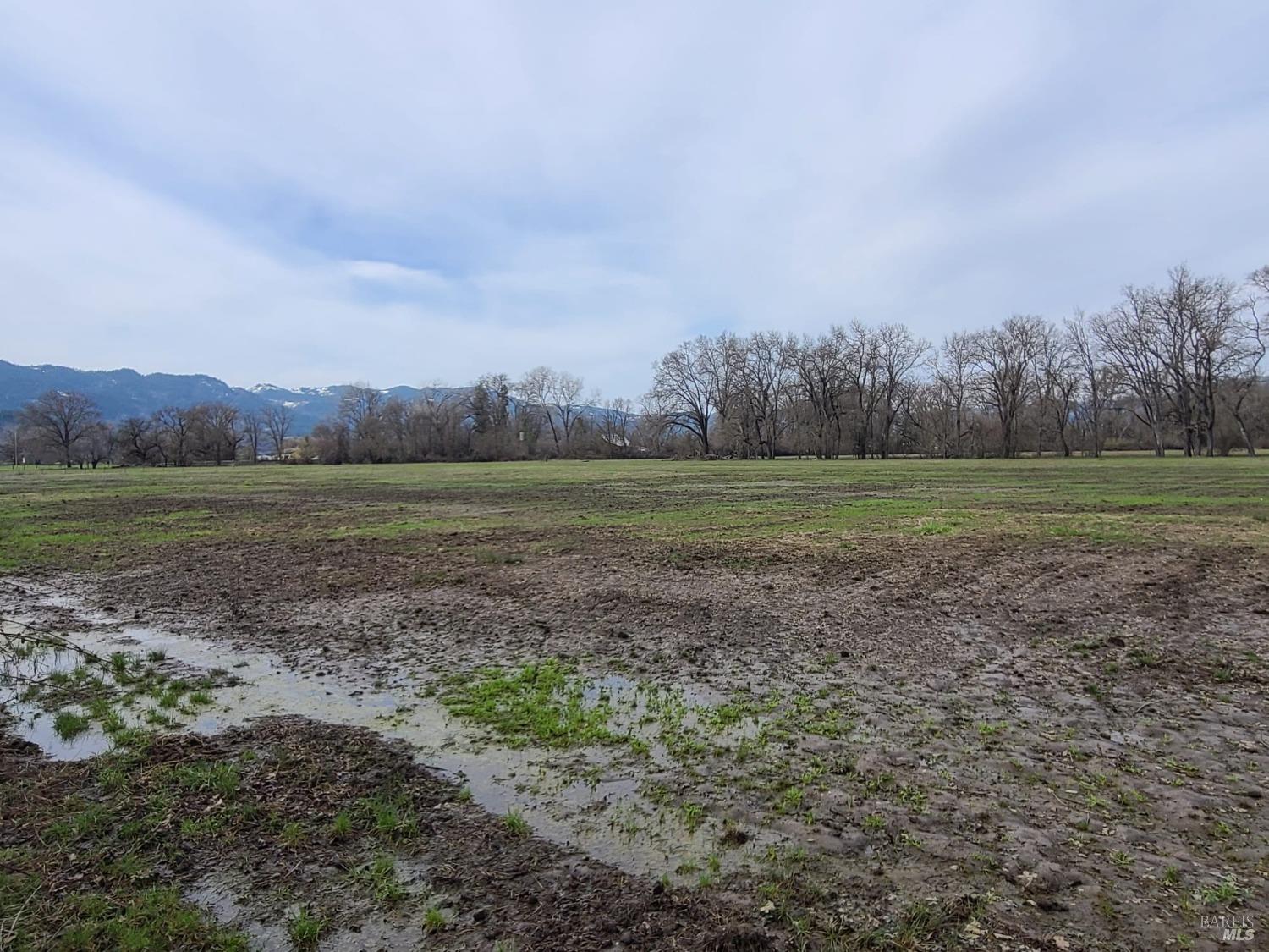 Detail Gallery Image 9 of 43 For 75589 Covelo Rd, Covelo,  CA 95428 - 2 Beds | 1 Baths