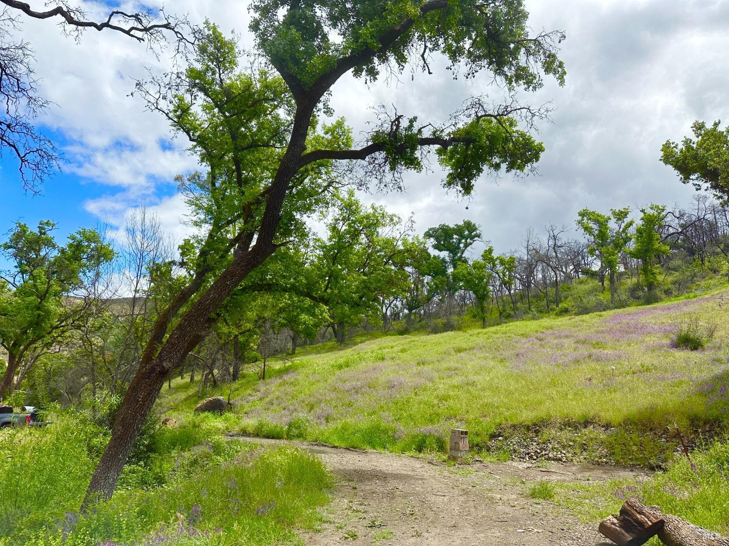 Photo of 37653765 Hwy 128 in St Helena, CA