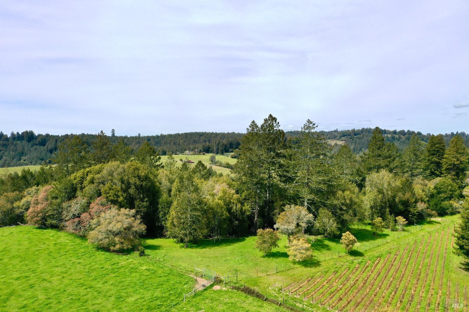 Photo of 0 Bodega Hwy in Sebastopol, CA