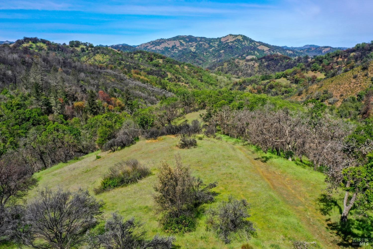 Detail Gallery Image 35 of 35 For 0 Wallace Creek Rd, Healdsburg,  CA 95448 - – Beds | – Baths