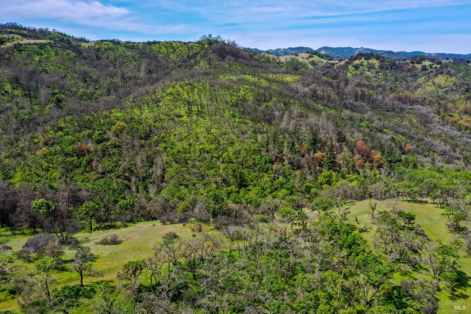 Detail Gallery Image 33 of 35 For 0 Wallace Creek Rd, Healdsburg,  CA 95448 - – Beds | – Baths