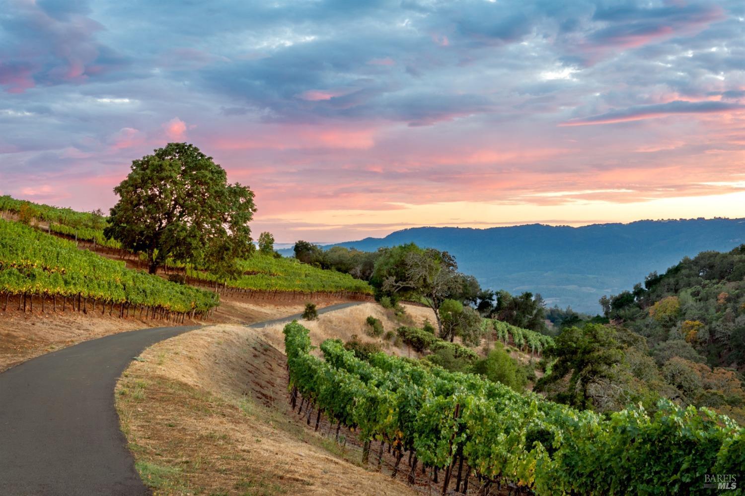 Photo of 2700 Nelligan Rd in Glen Ellen, CA