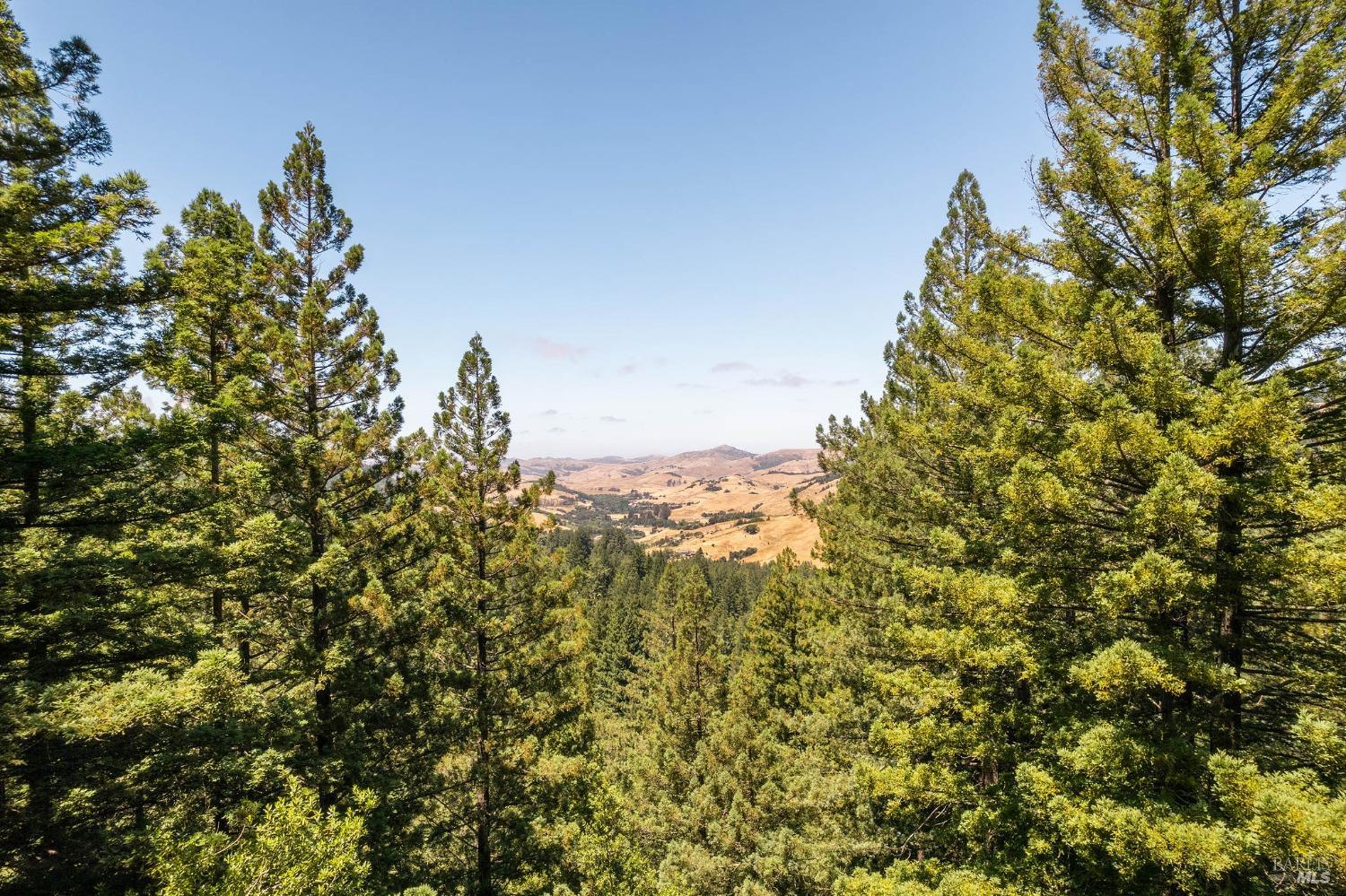 Photo of 1401 Nicasio Valley Rd in Nicasio, CA