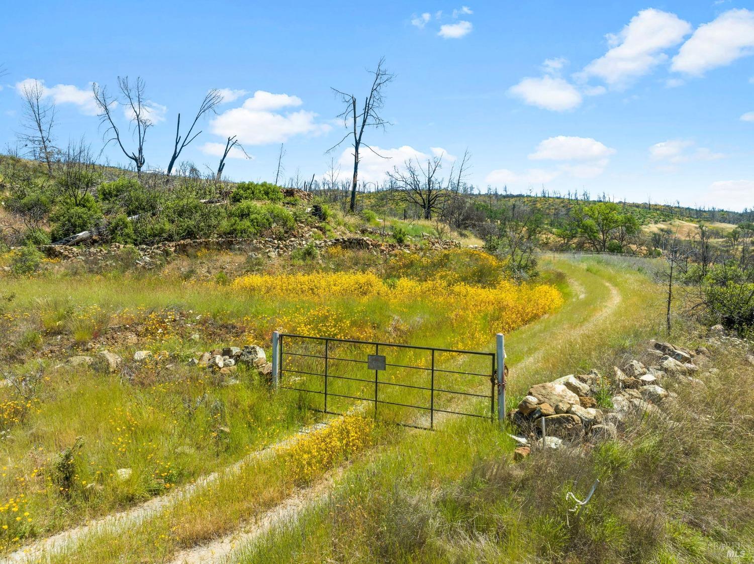 Photo of 3000 Pope Canyon Rd in St Helena, CA