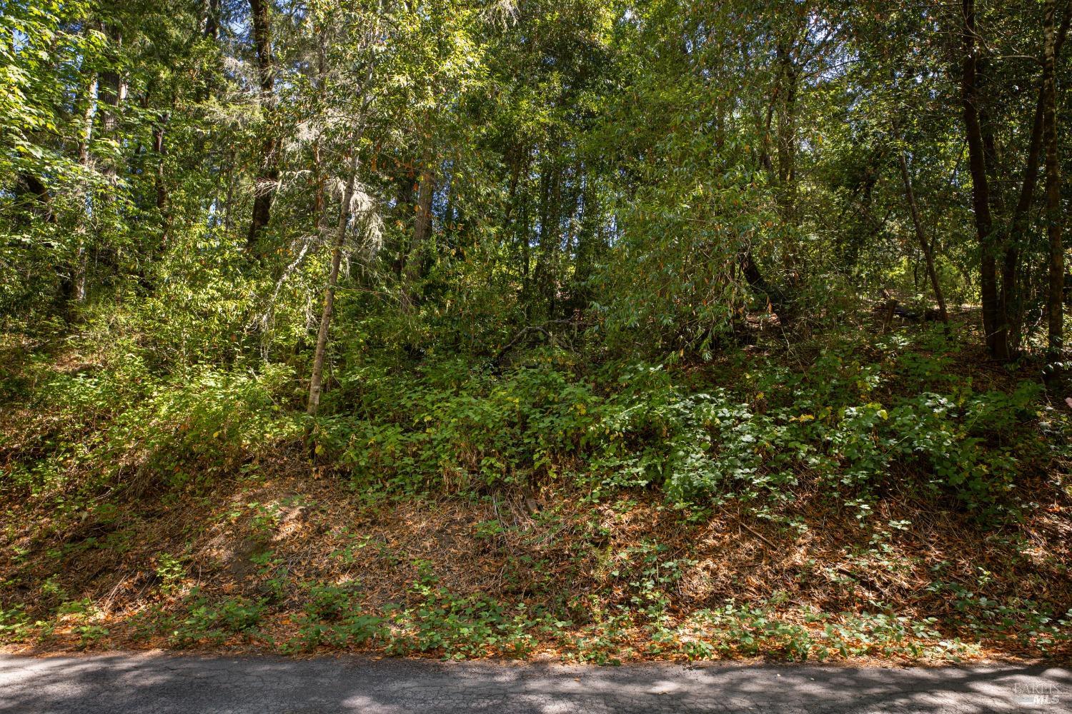 Photo of 1260 Camp Meeker Rd in Occidental, CA
