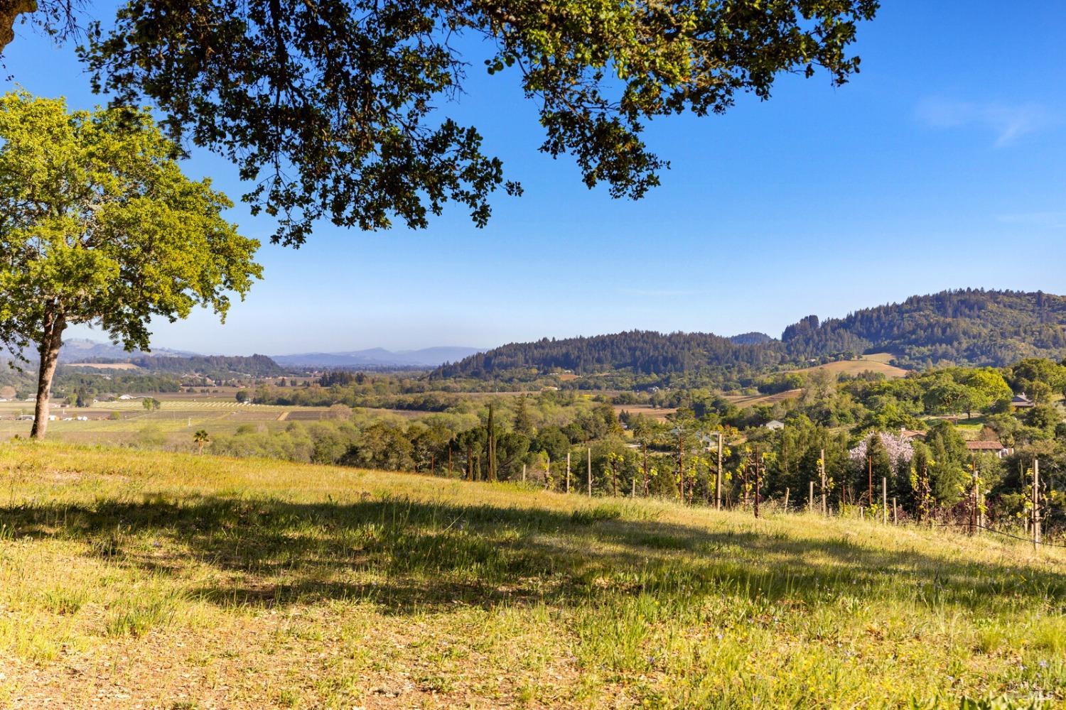 Wine Country Estate building site in prestigious Dry Creek Valley! This very private home-site with stunning 360 degree panoramic valley views  sits on over 10.50+/- acres with 8 acres +/- of premium Award Winning Zinfandel Sawyer vines (97 points double gold 2017, double gold) in  Just minutes to downtown Healdsburg, Lake Sonoma and Dry Creek General Store.  Cycle enthusiasts worldwide dream of beginning their adventures from here to nearby wineries, tasting rooms and farm to table restaurants. Seller will provide potential buyers with five years fruit purchase contact and vineyard maintenance contract.