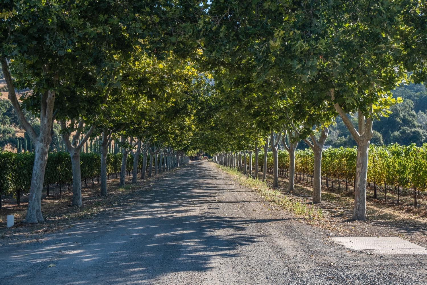 Detail Gallery Image 3 of 15 For 5250 E. Hwy 20 Hwy, Nice,  CA 95464 - 2 Beds | 2 Baths