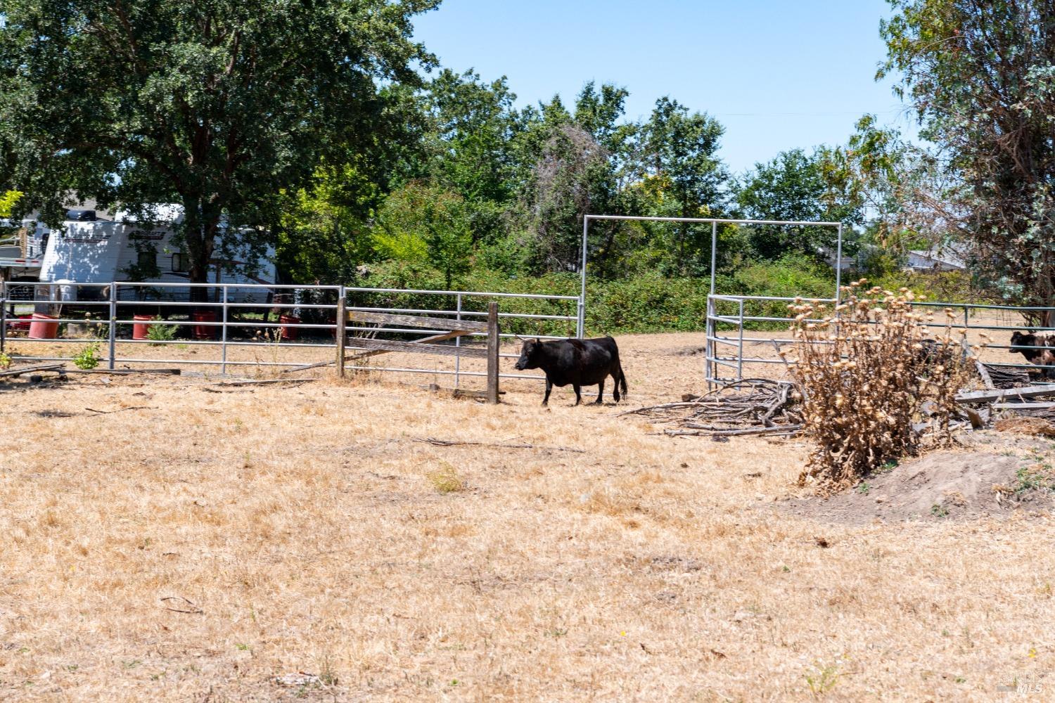 Primrose Avenue, Santa Rosa, California image 7