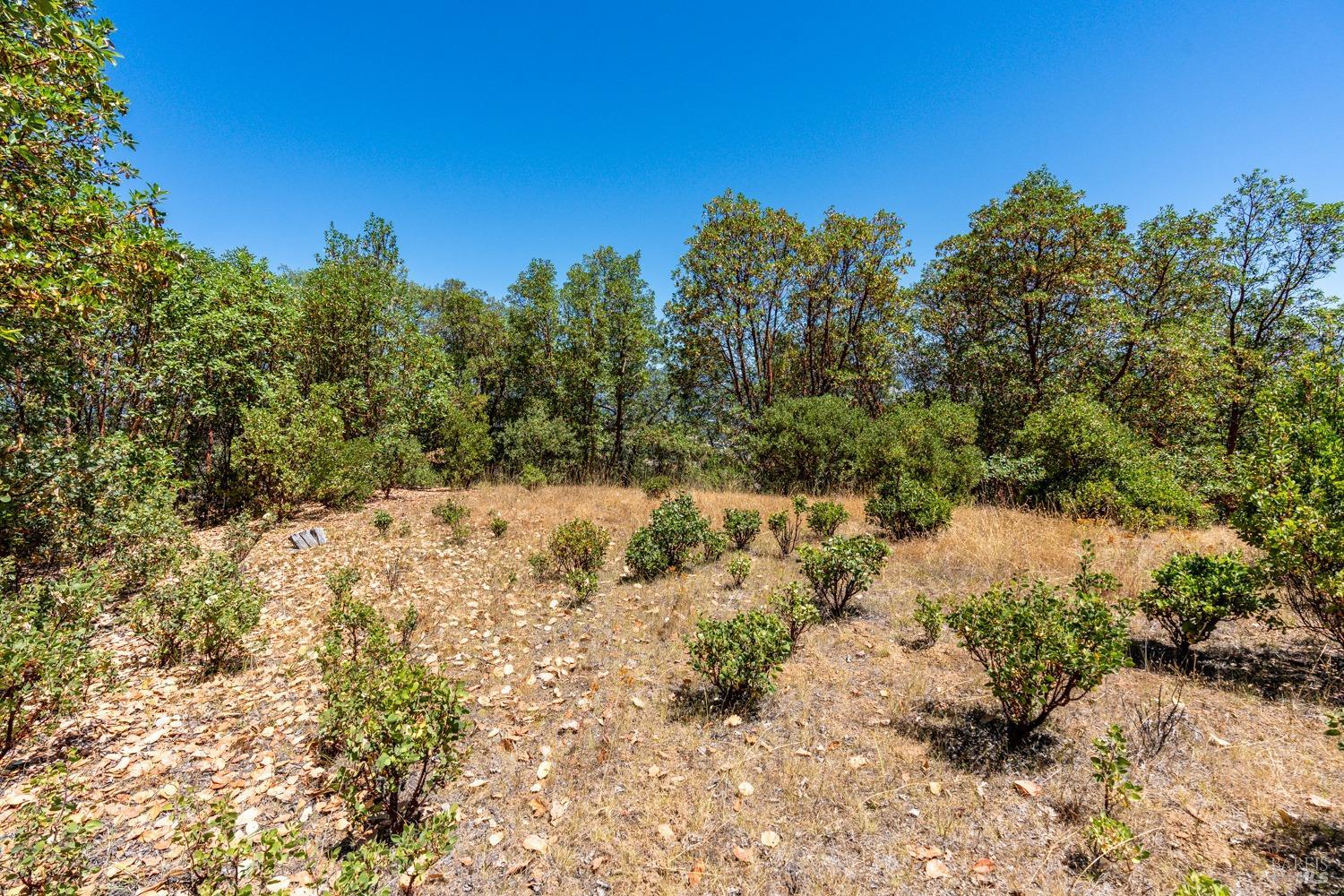 Photo of 0 Vista Del Lago Rd in Ukiah, CA