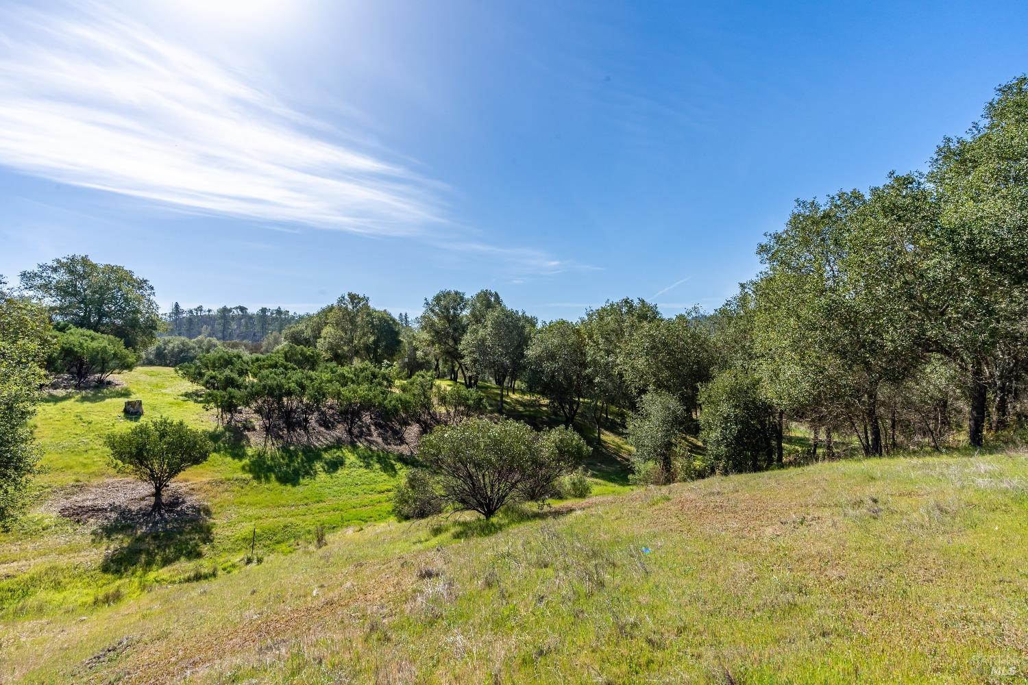 Detail Gallery Image 26 of 53 For 0 Franz Valley School Rd, Calistoga,  CA 94515 - – Beds | – Baths