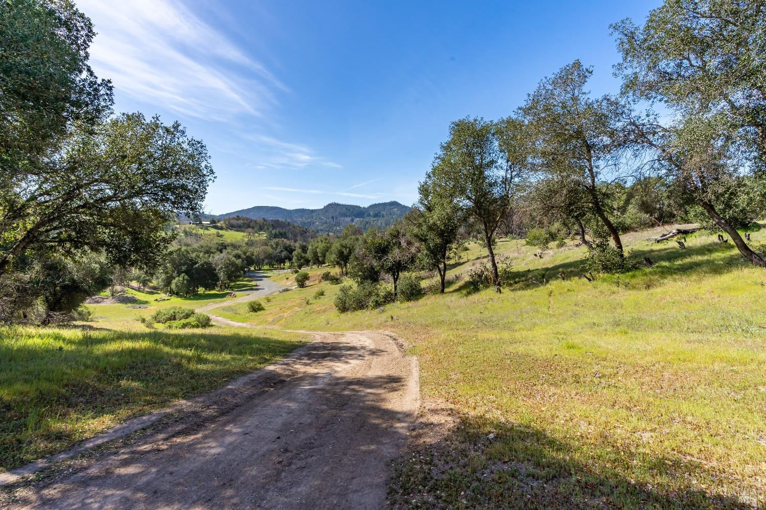 Detail Gallery Image 25 of 41 For 0 Franz Valley School Rd, Calistoga,  CA 94515 - – Beds | – Baths