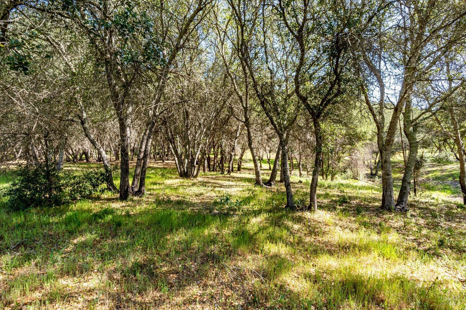 Detail Gallery Image 20 of 41 For 0 Franz Valley School Rd, Calistoga,  CA 94515 - – Beds | – Baths