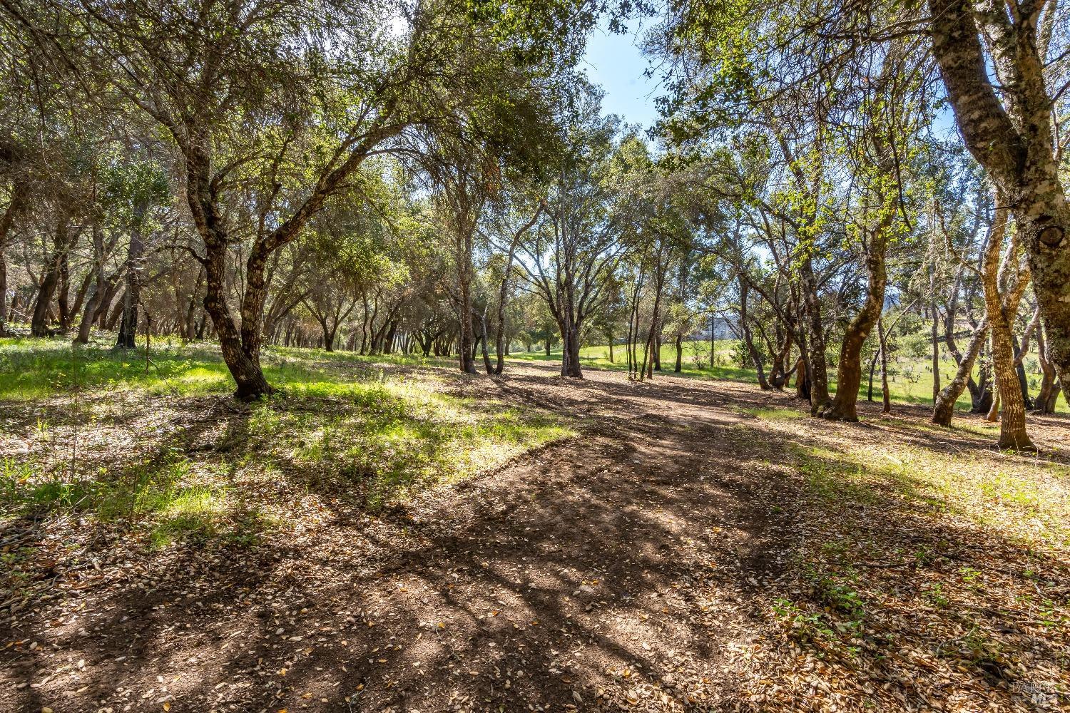 Detail Gallery Image 5 of 41 For 0 Franz Valley School Rd, Calistoga,  CA 94515 - – Beds | – Baths