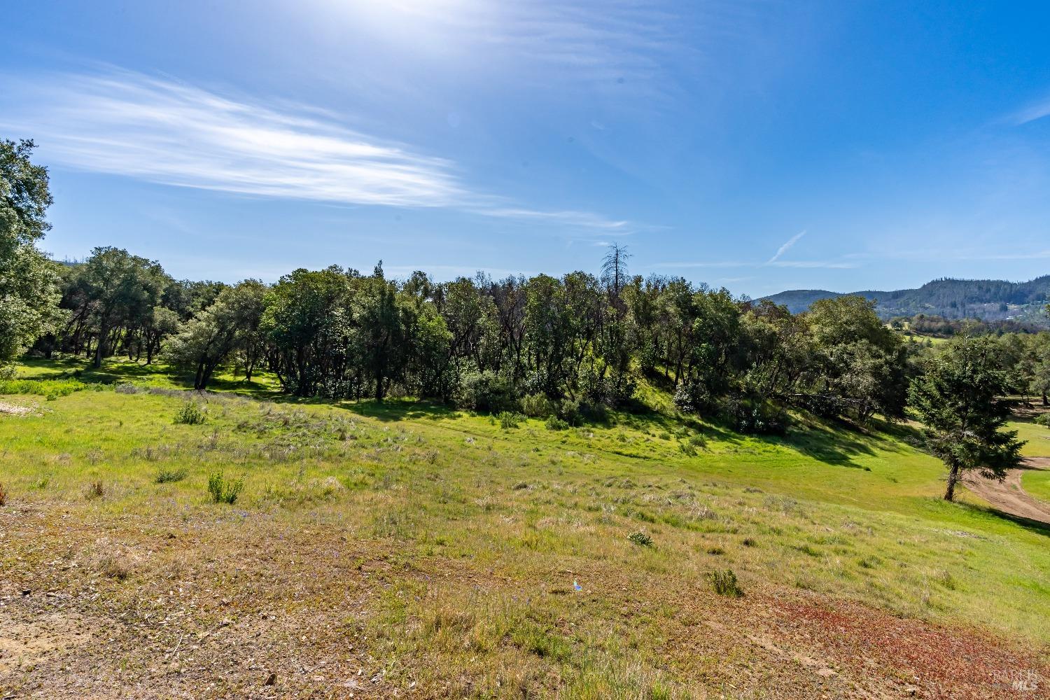 Detail Gallery Image 12 of 41 For 0 Franz Valley School Rd, Calistoga,  CA 94515 - – Beds | – Baths