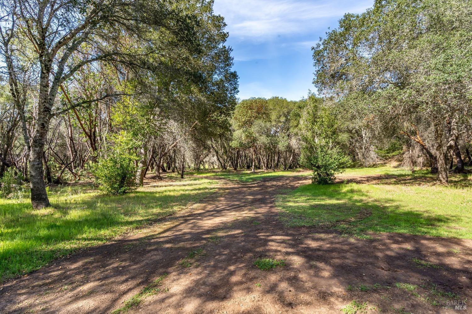 Detail Gallery Image 9 of 41 For 0 Franz Valley School Rd, Calistoga,  CA 94515 - – Beds | – Baths