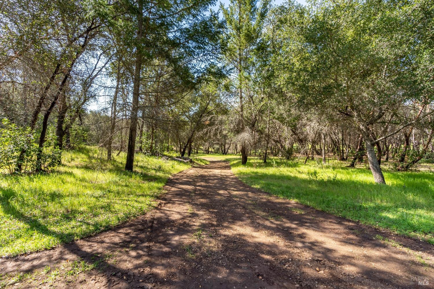 Detail Gallery Image 15 of 53 For 0 Franz Valley School Rd, Calistoga,  CA 94515 - – Beds | – Baths