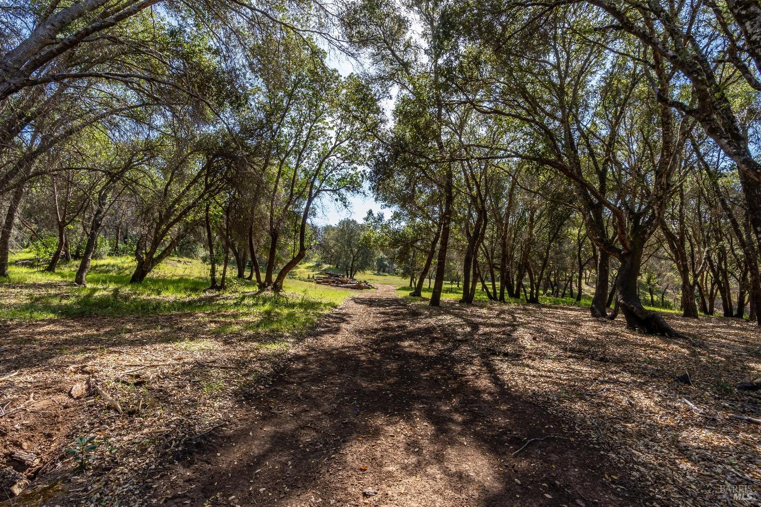 Detail Gallery Image 22 of 53 For 0 Franz Valley School Rd, Calistoga,  CA 94515 - – Beds | – Baths