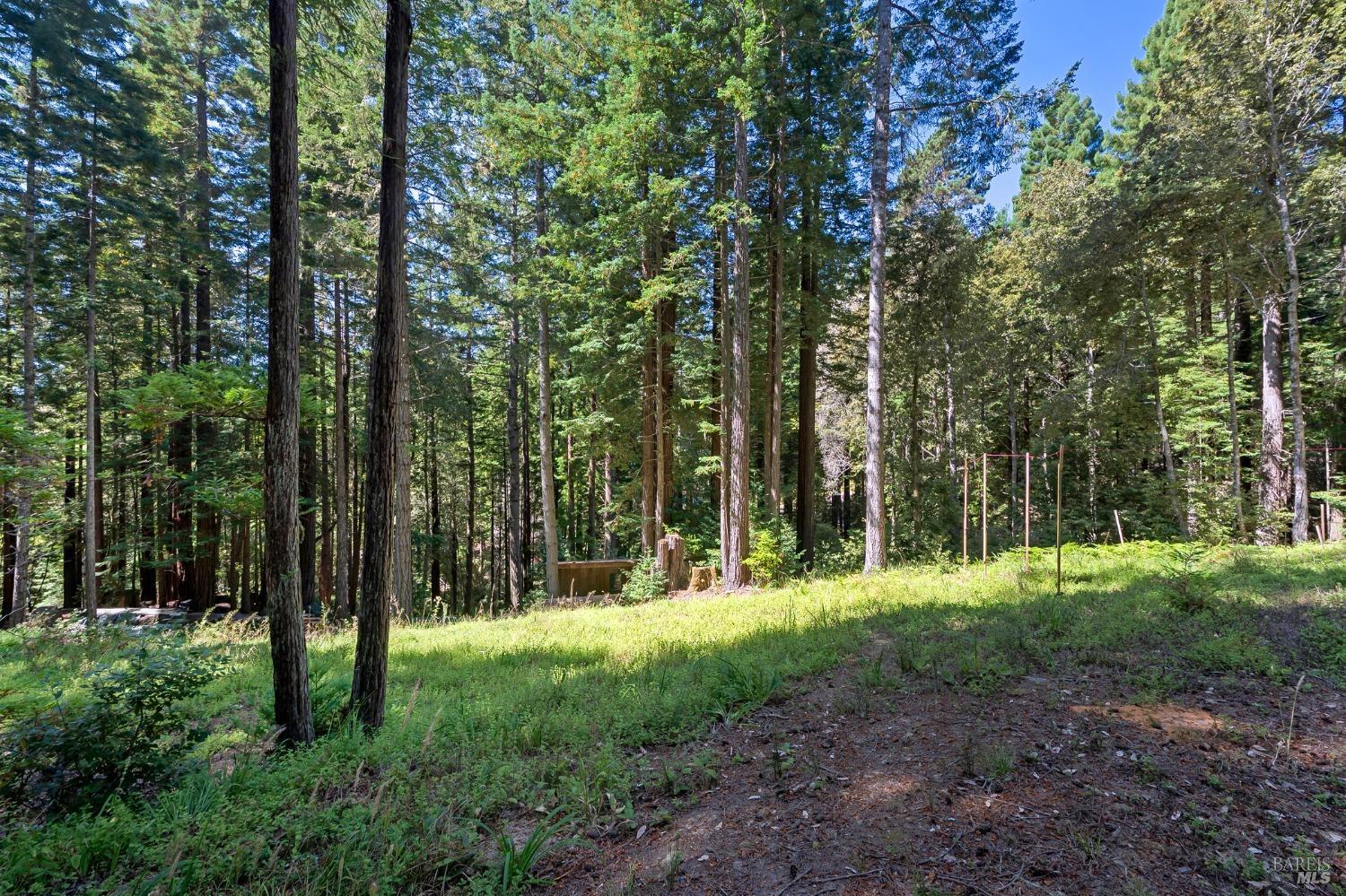 Photo of 22051 Rust Dr in Jenner, CA