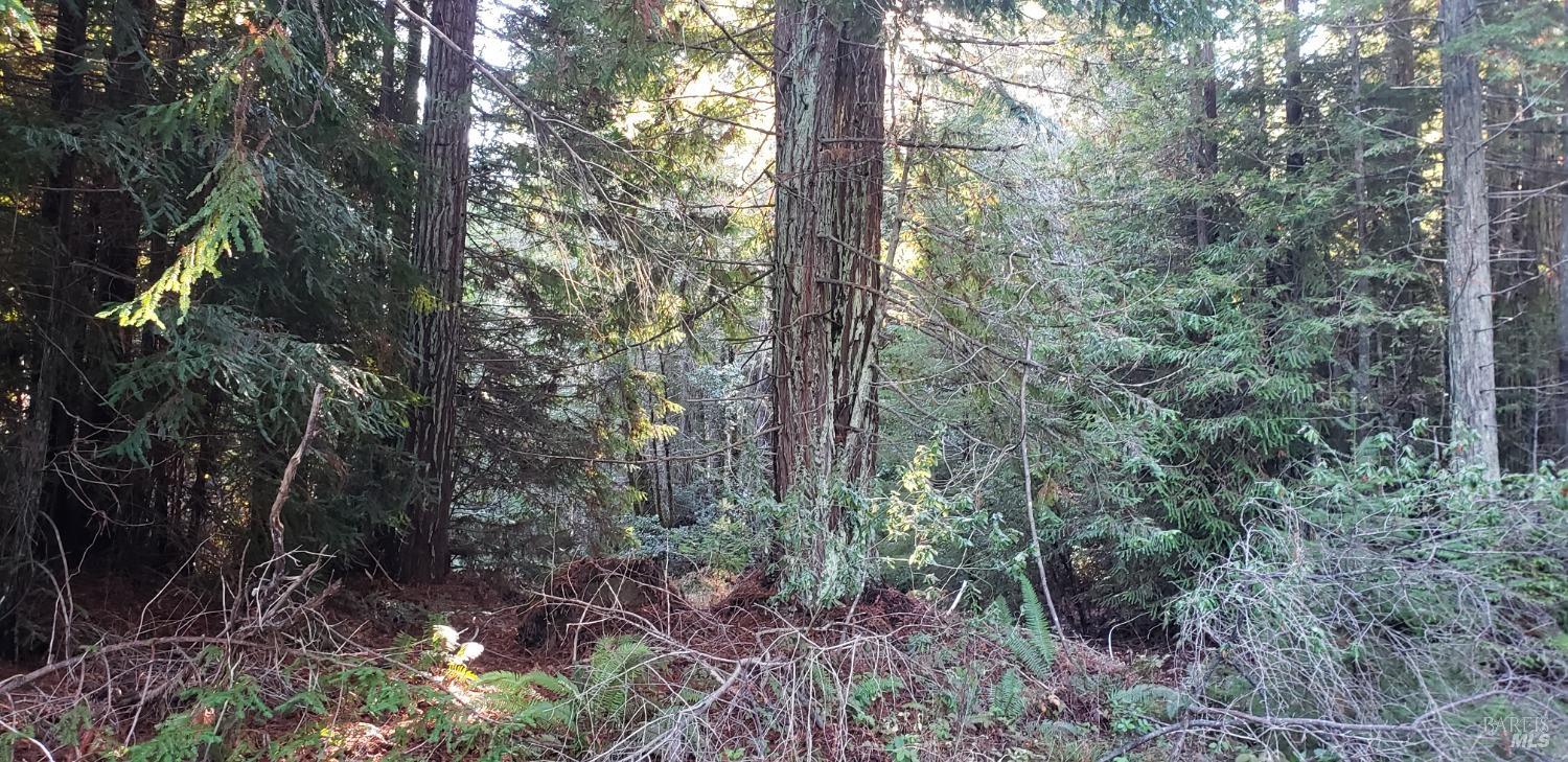 Photo of 0 Branscomb Rd in Branscomb, CA