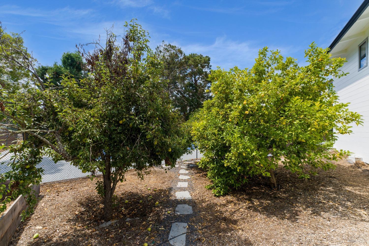 Detail Gallery Image 52 of 58 For 17 Moncada Way, San Rafael,  CA 94901 - 8 Beds | 7 Baths