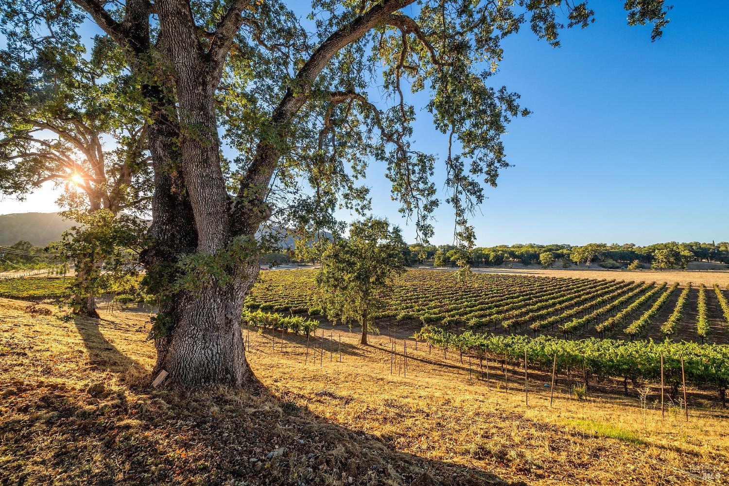 Photo of 5615 Highland Springs Rd in Lakeport, CA