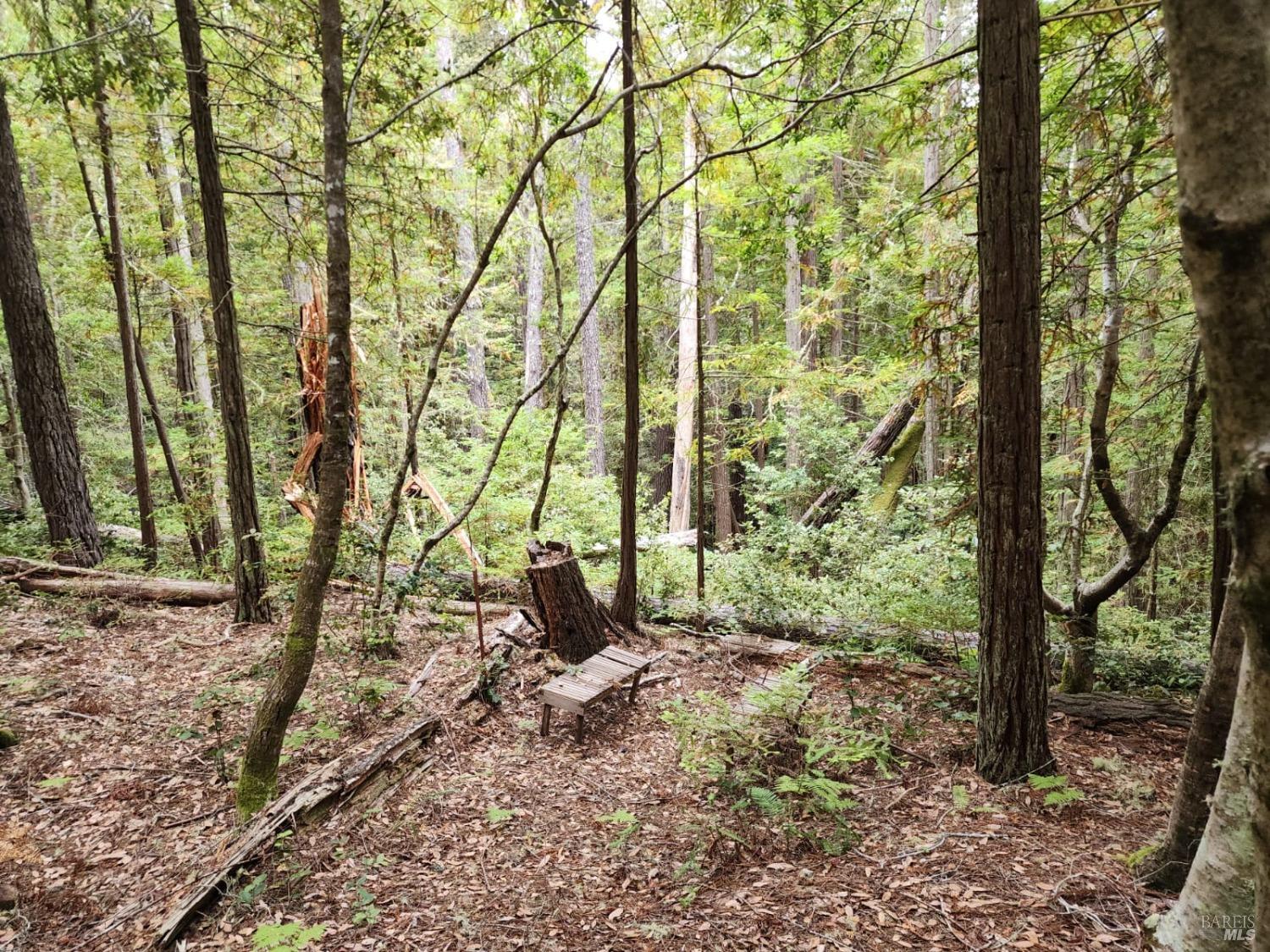 Photo of 388 Moonraker Rd in The Sea Ranch, CA
