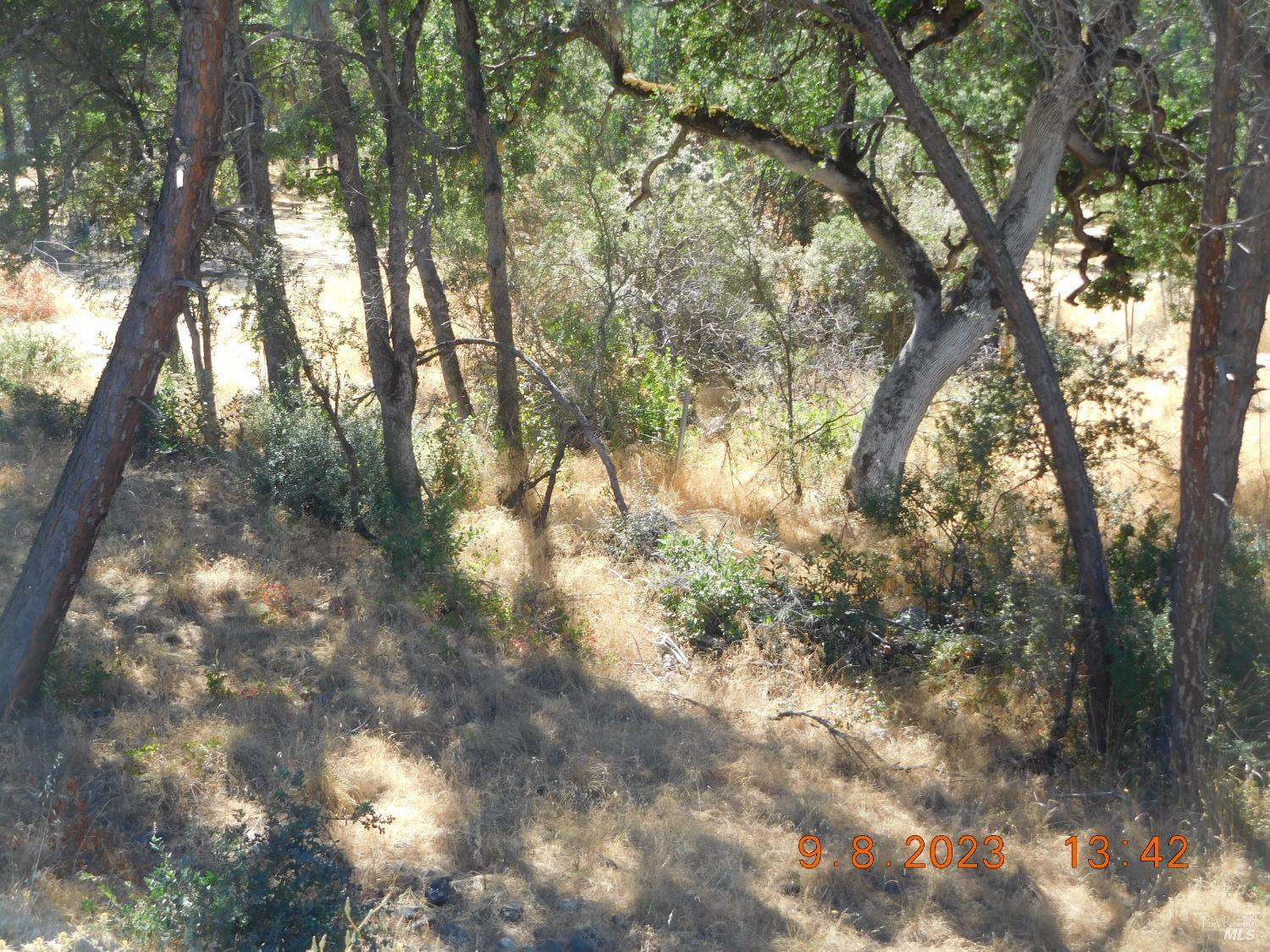 15466 Palm Avenue, Clearlake, California image 4