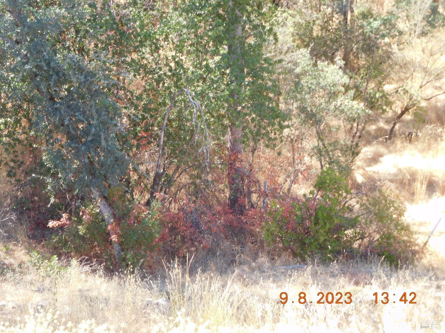 15466 Palm Avenue, Clearlake, California image 5