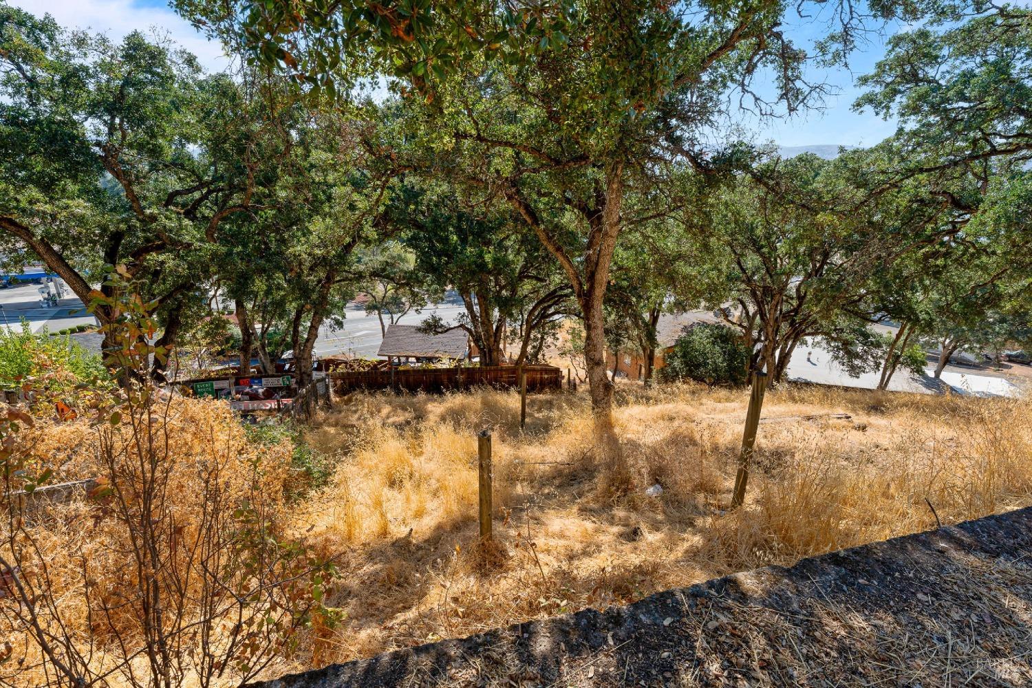 Widgeon Way, Clearlake Oaks, California image 11