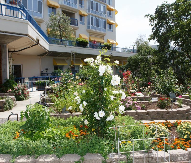 Detail Gallery Image 36 of 55 For 100 Thorndale Dr #332,  San Rafael,  CA 94903 - 2 Beds | 2 Baths