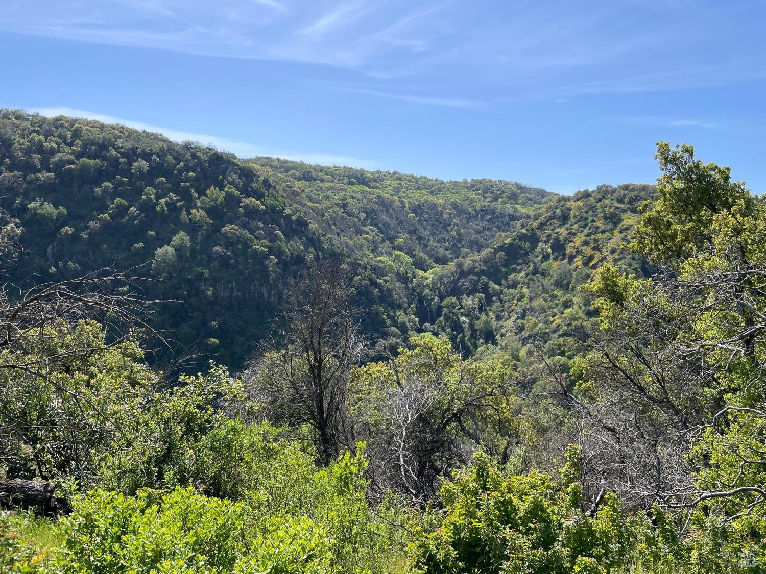 Photo of 0 Green Valley Ln #Lot 3 in Green Valley, CA