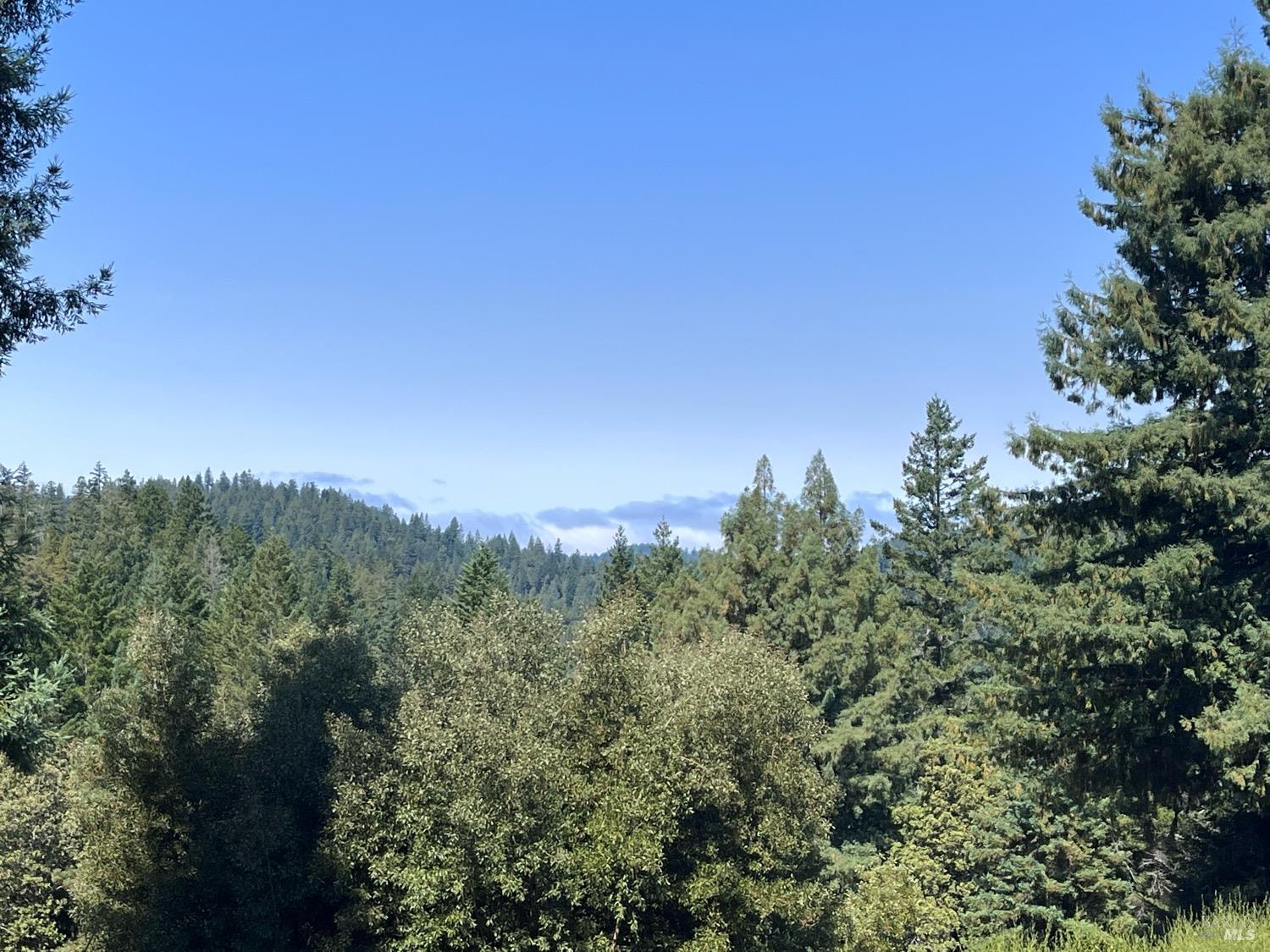 Photo of 7701 Flynn Creek Rd in Comptche, CA