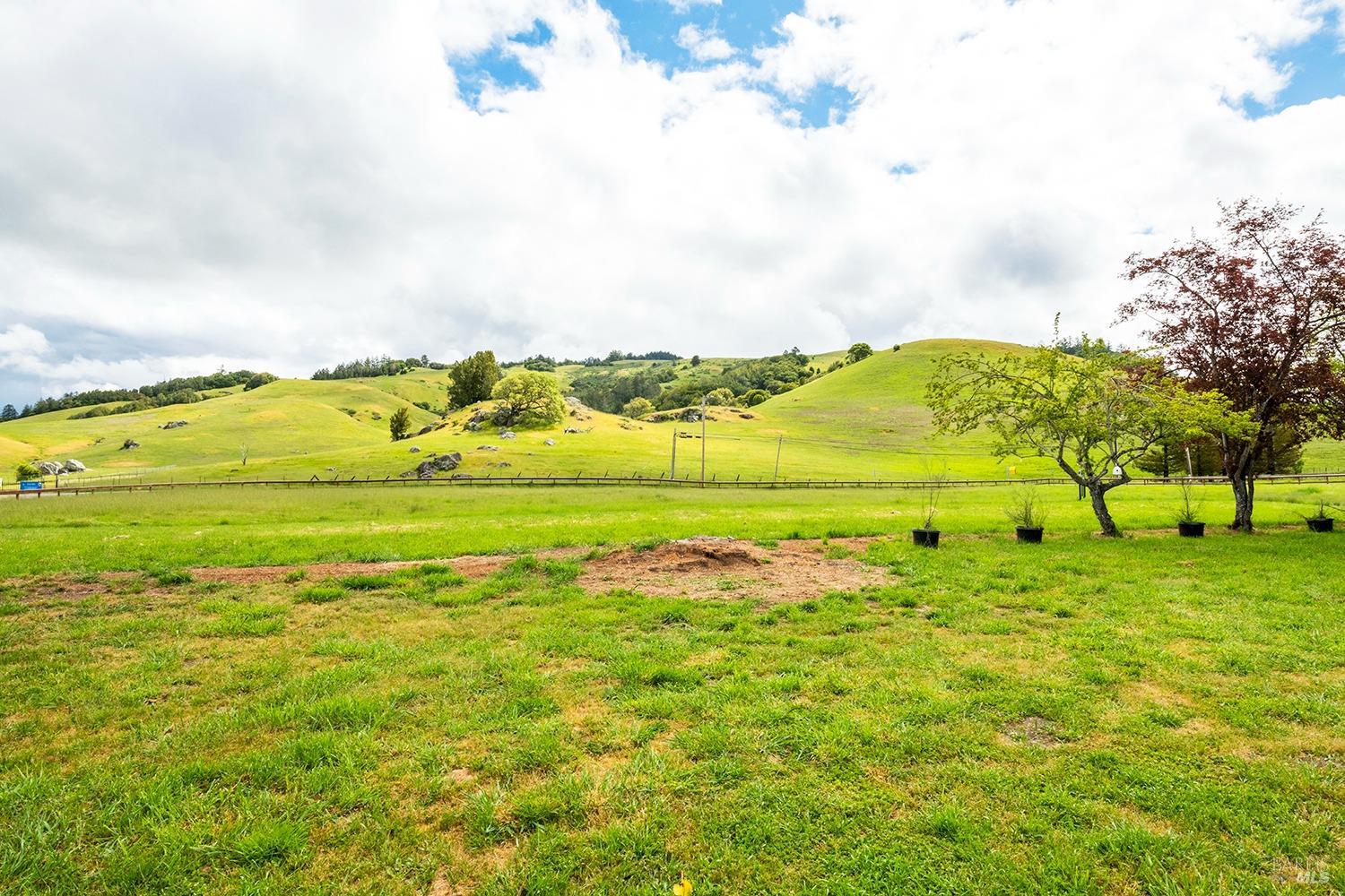 Detail Gallery Image 32 of 42 For 4299 Nicasio Valley Rd, Nicasio,  CA 94946 - 3 Beds | 1 Baths