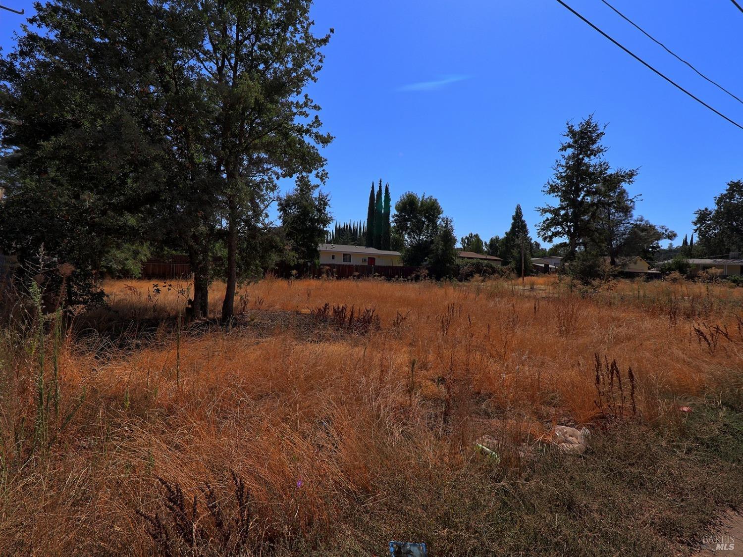Manchester Avenue, Clearlake, California image 7