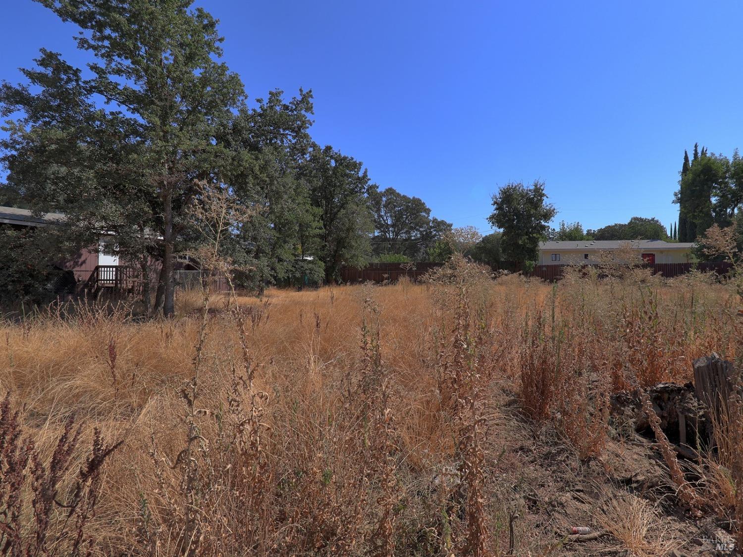Manchester Avenue, Clearlake, California image 9