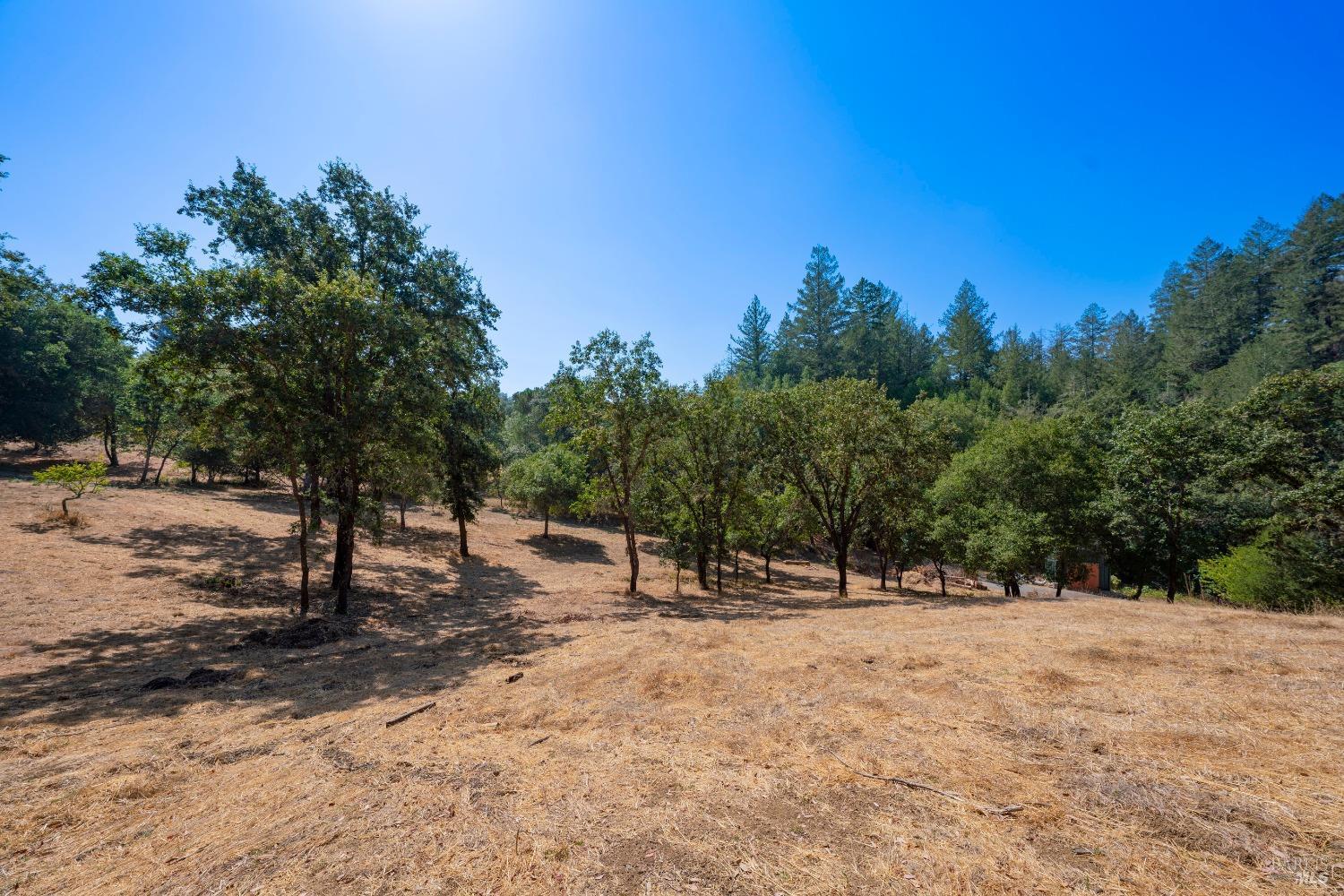 Photo of 7250 Hwy 116 Hwy in Forestville, CA