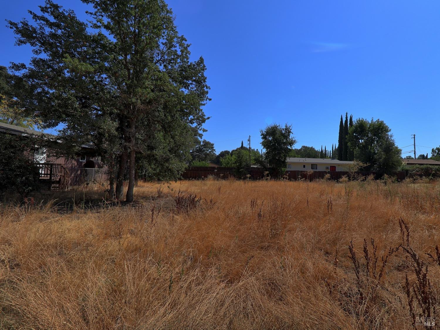 Manchester Avenue, Clearlake, California image 6