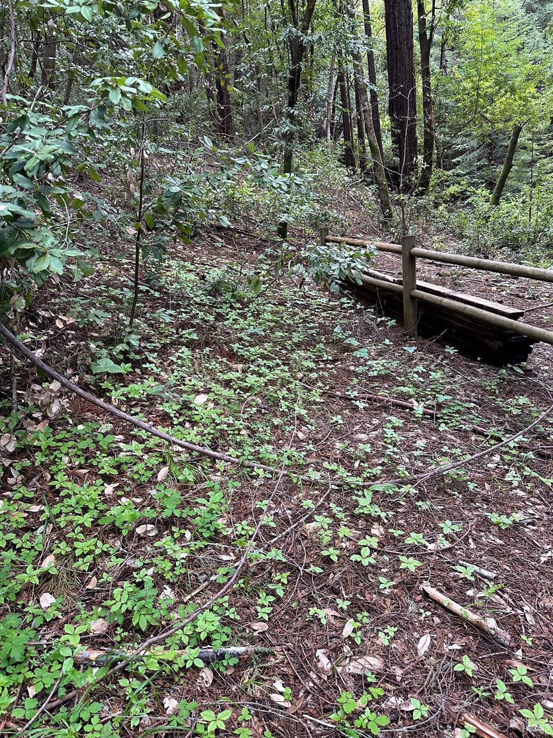 Austin Creek Road, Cazadero, California image 12