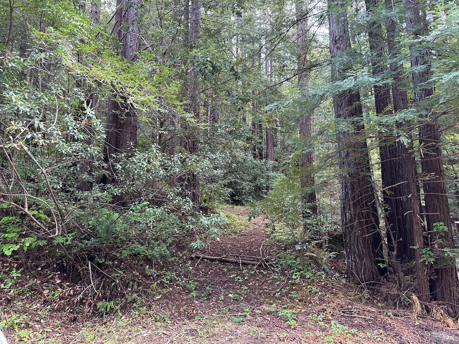 Austin Creek Road, Cazadero, California image 1