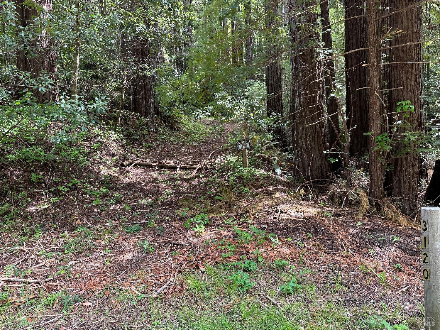 Austin Creek Road, Cazadero, California image 3