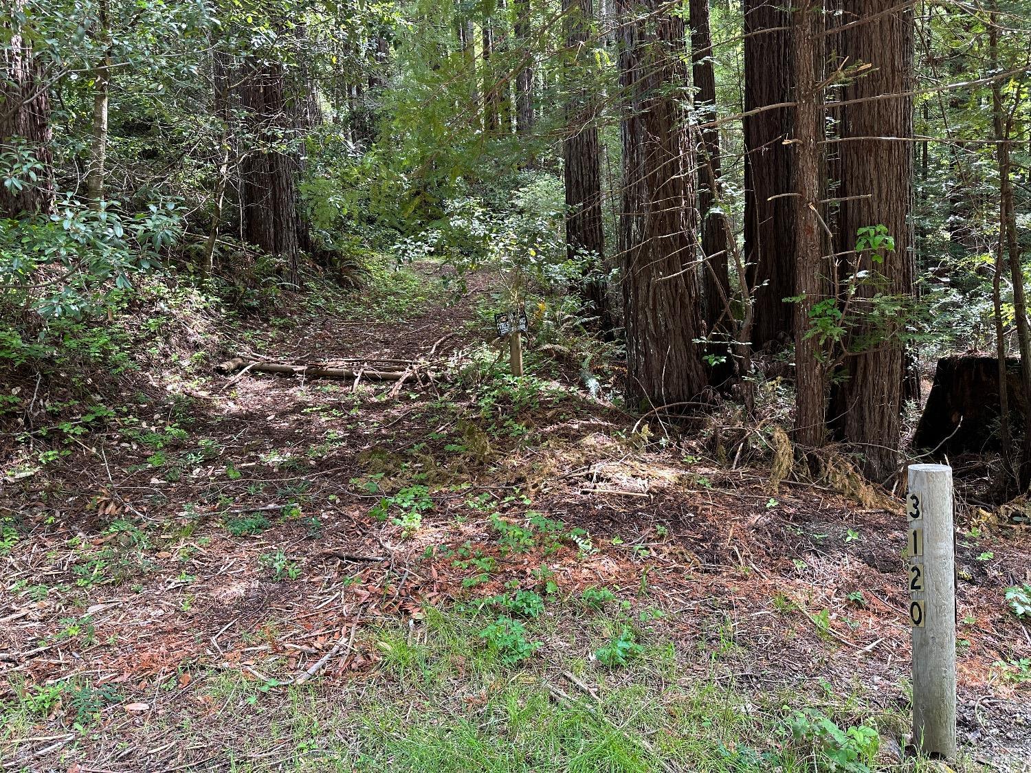 Austin Creek Road, Cazadero, California image 4