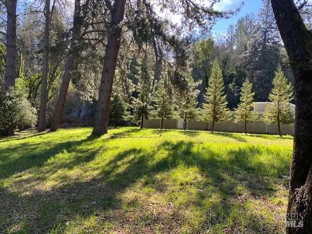 Detail Gallery Image 10 of 14 For 75 Sky Oaks Dr, Angwin,  CA 94508 - – Beds | – Baths