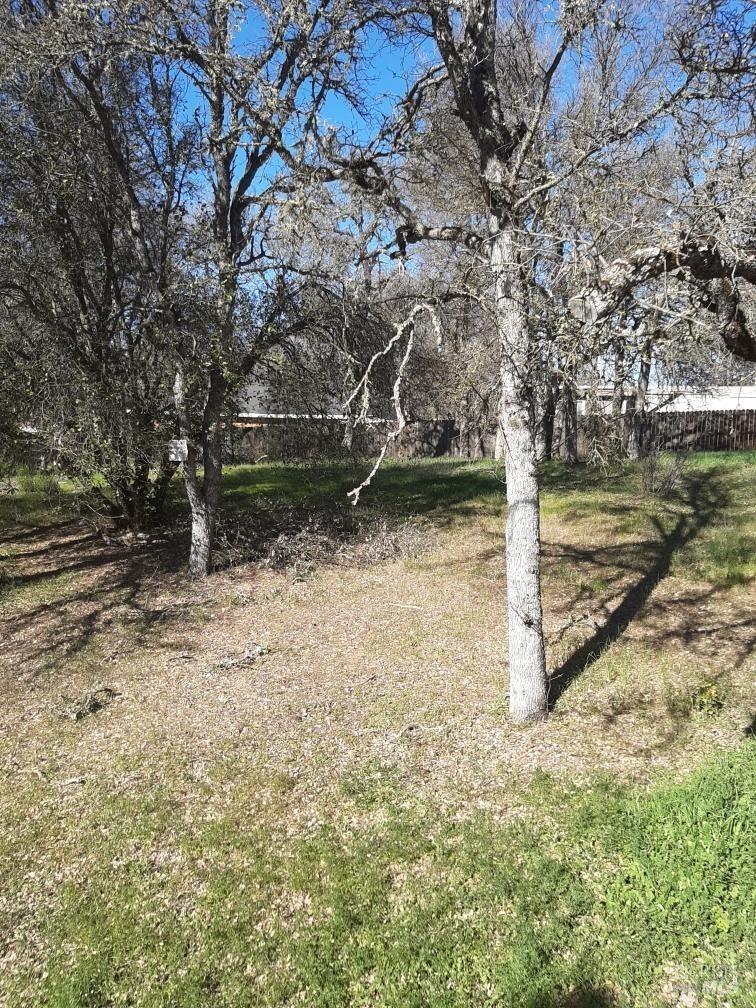 20th Avenue, Clearlake, California image 3
