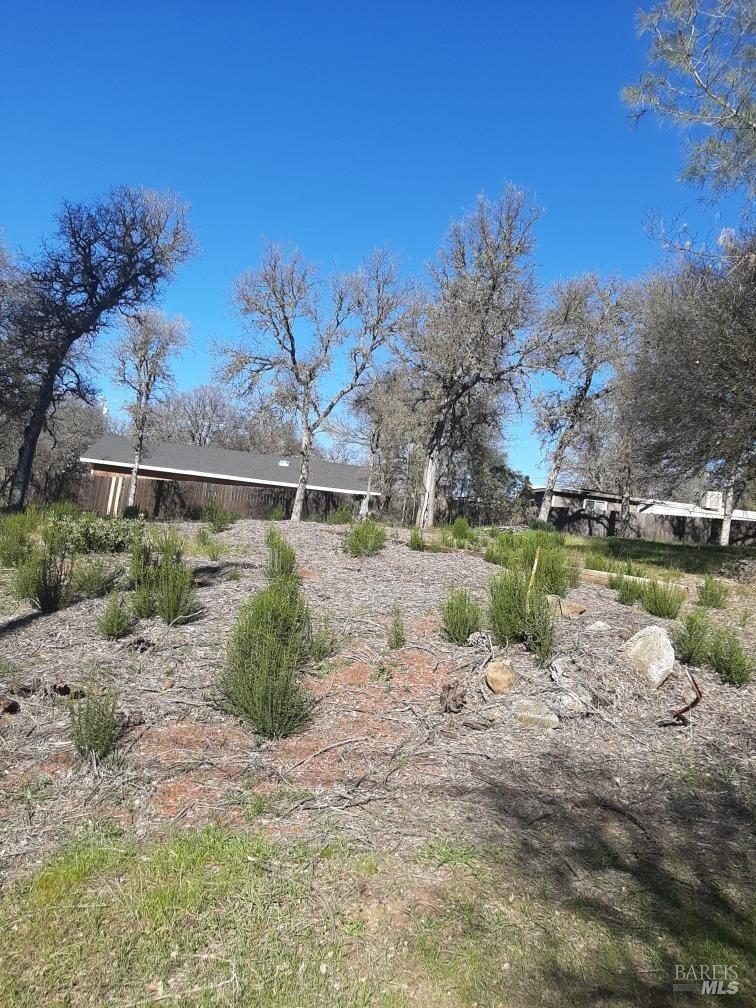 20th Avenue, Clearlake, California image 4