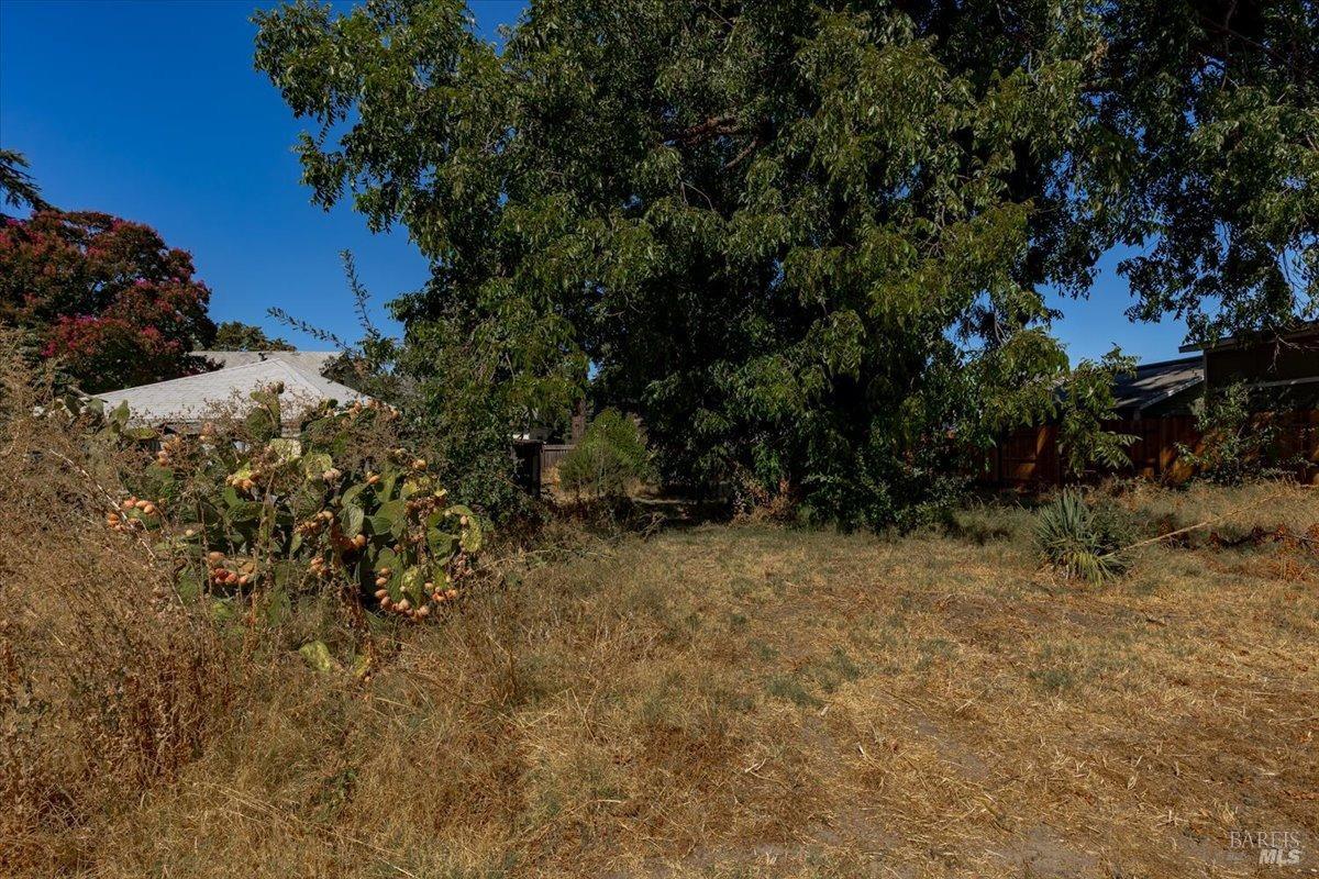 S 3rd Street, Dixon, California image 36