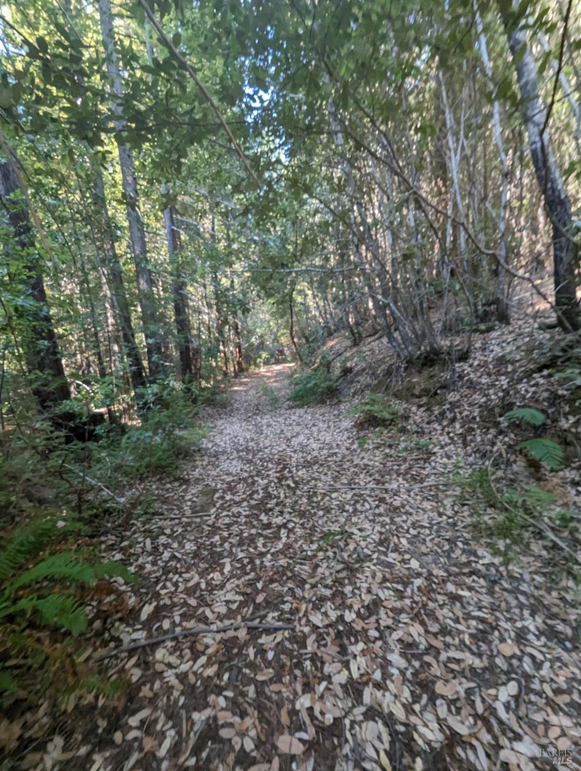 Photo of 23330 Fort Ross Rd in Cazadero, CA