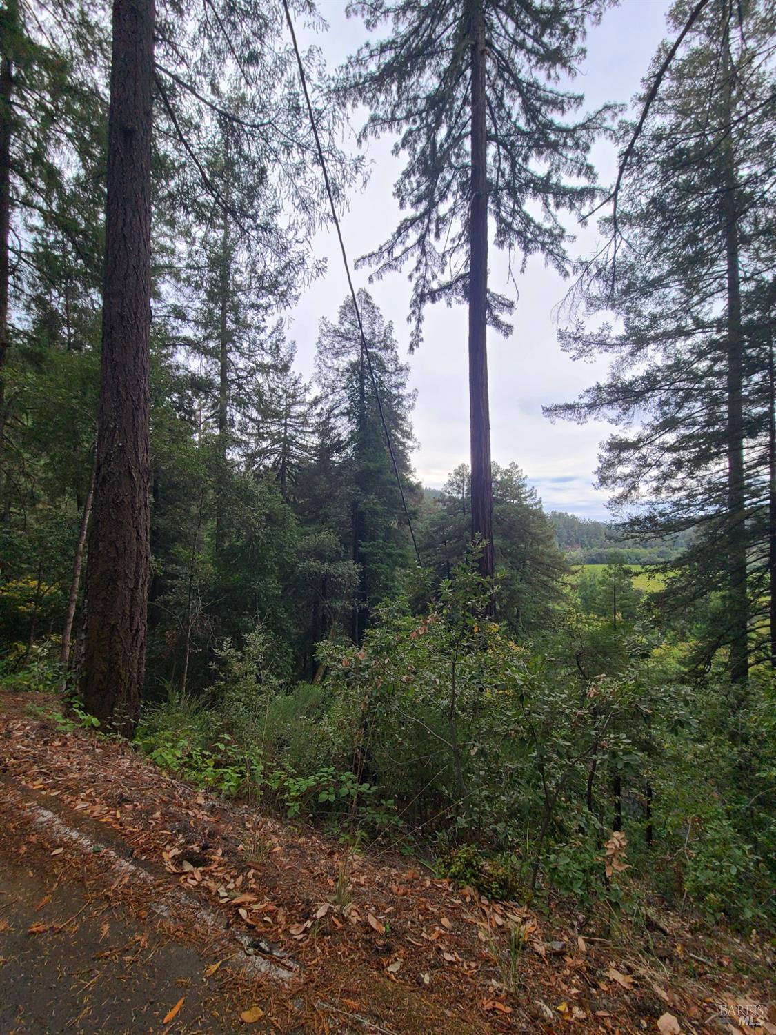 Photo of 11356 Terrace Dr in Forestville, CA
