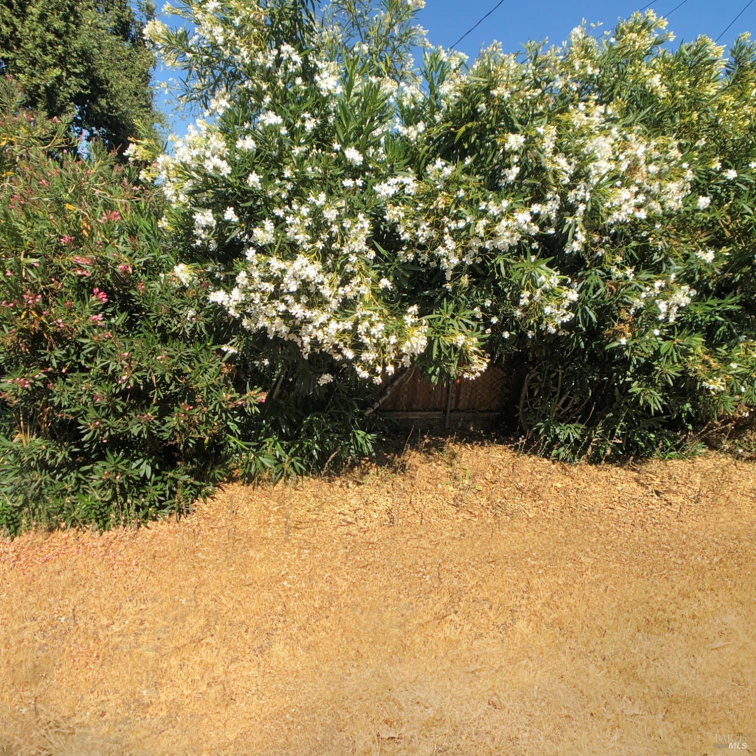 Carolina Street, Vallejo, California image 41